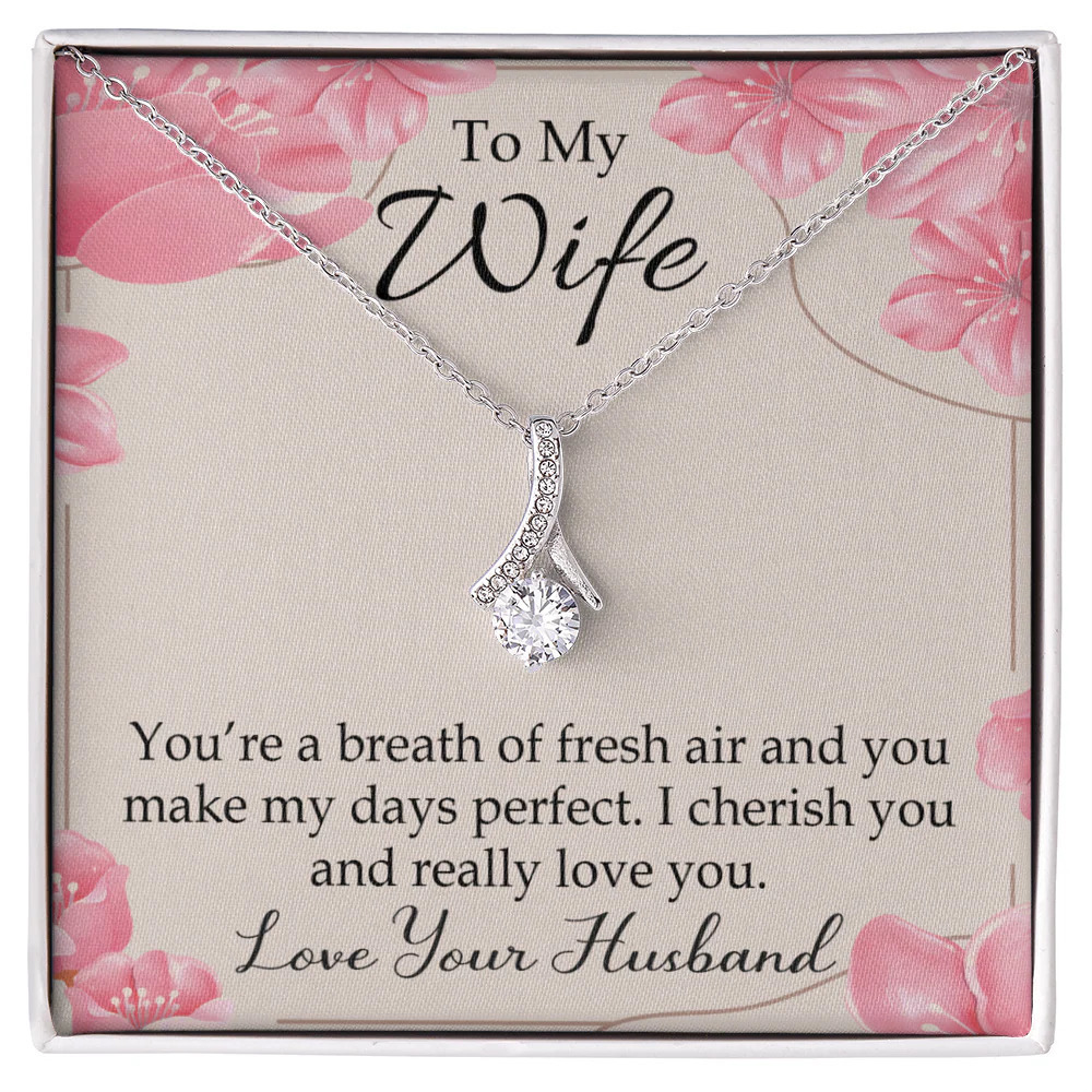 To My Wife Youre a Breath of Fresh Air Ribbon Necklace Silver Tone Standard Box